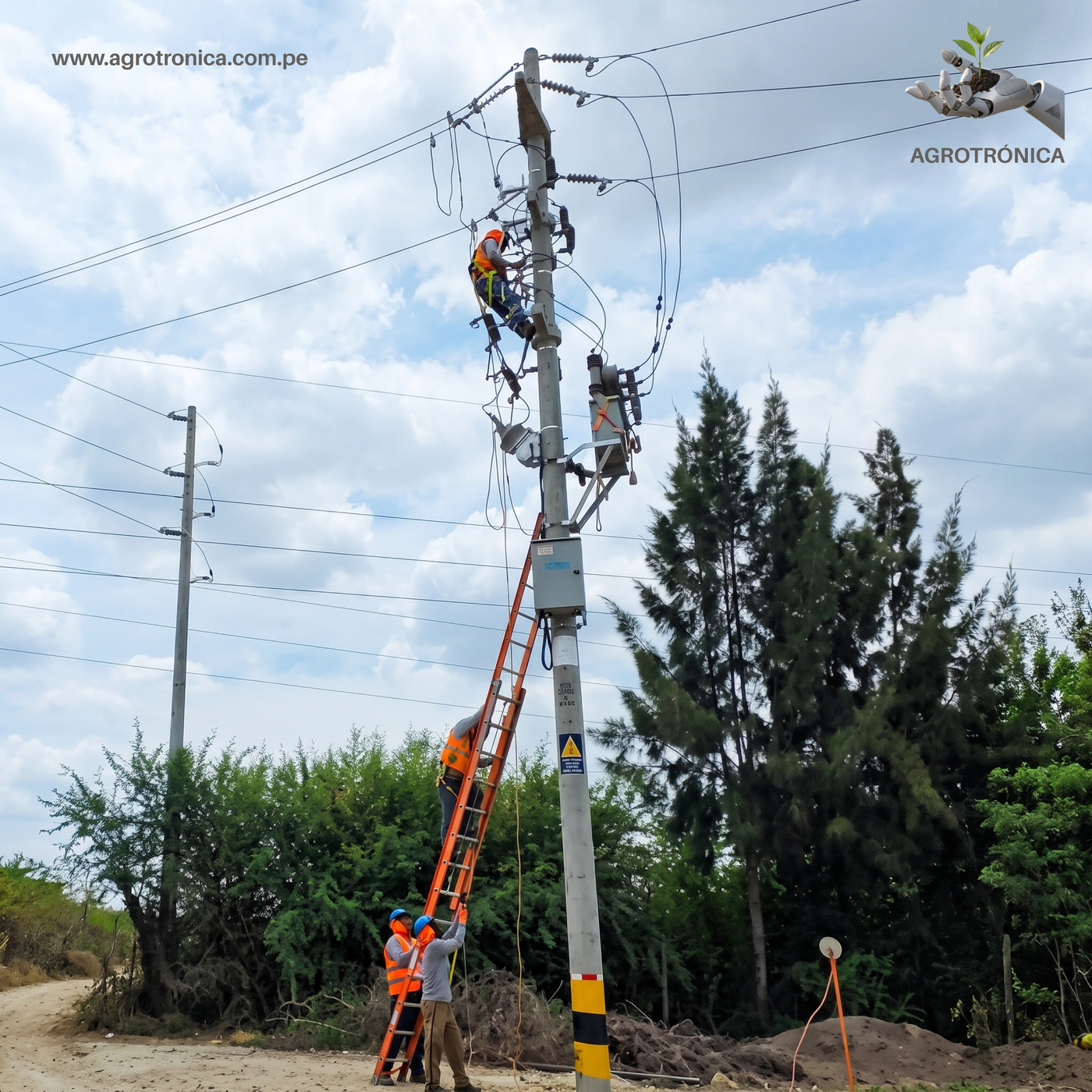Foto 2 - Media Tensión 22.9 kV Olmos